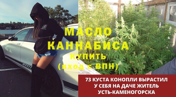 индика Верея