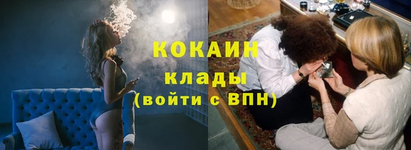 индика Верея
