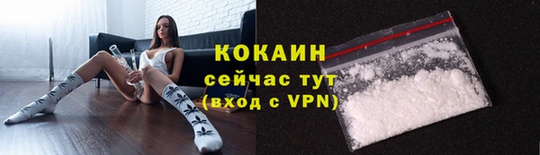 индика Верея