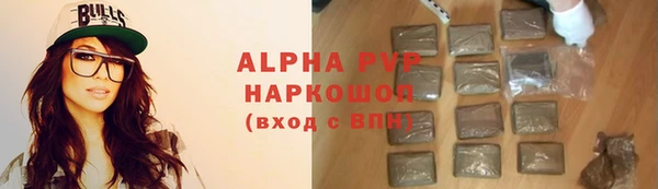 индика Верея