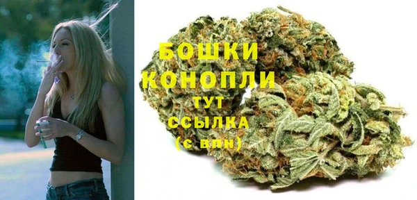 индика Верея