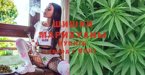 индика Верея