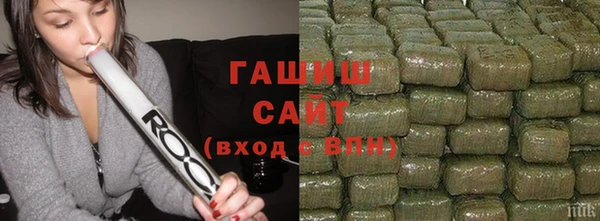 индика Верея