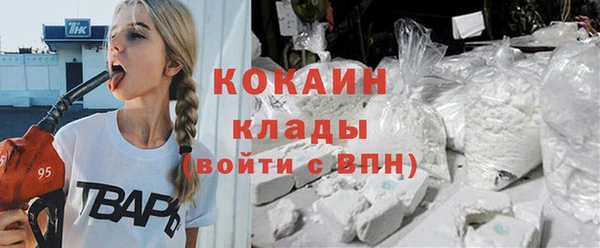 индика Верея