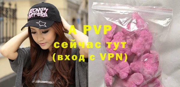 индика Верея